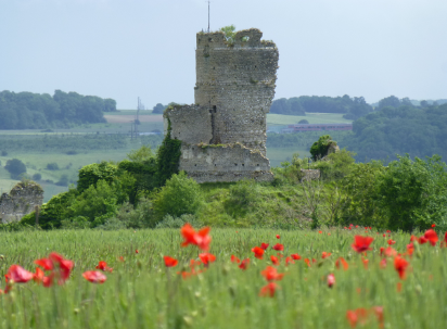 le donjon vu du Sud